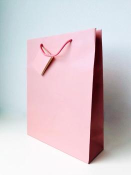Plain Paper Bag - Baby Pink XiZ Party Supplies