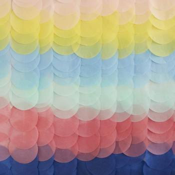 Rainbow Paper Disc Curtain