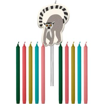 Zoo Party Candles