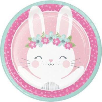 Bunny 1st Birthday Dishes Creative Converting
