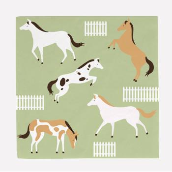 Racehorse Napkins My Little Day