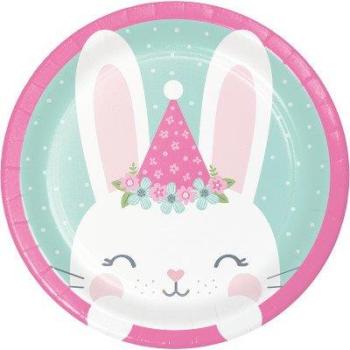 Bunny Birthday Small Plates Creative Converting