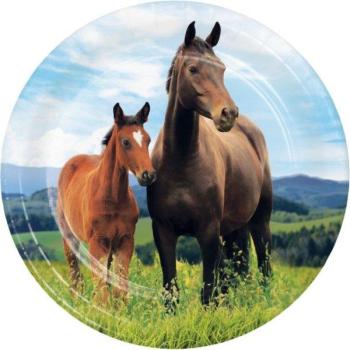 18cm Horse Plates