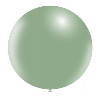 60 cm balloon - Avocado