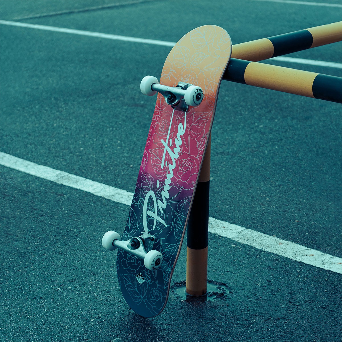 Skateboards and Longboards | EllisonbronzeShops