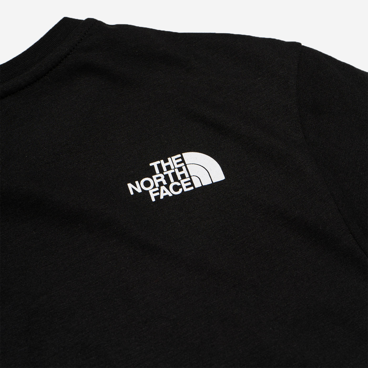 T-Shirt THE NORTH FACE M S/S Fine Alpine Tee 2 Black for Man ...