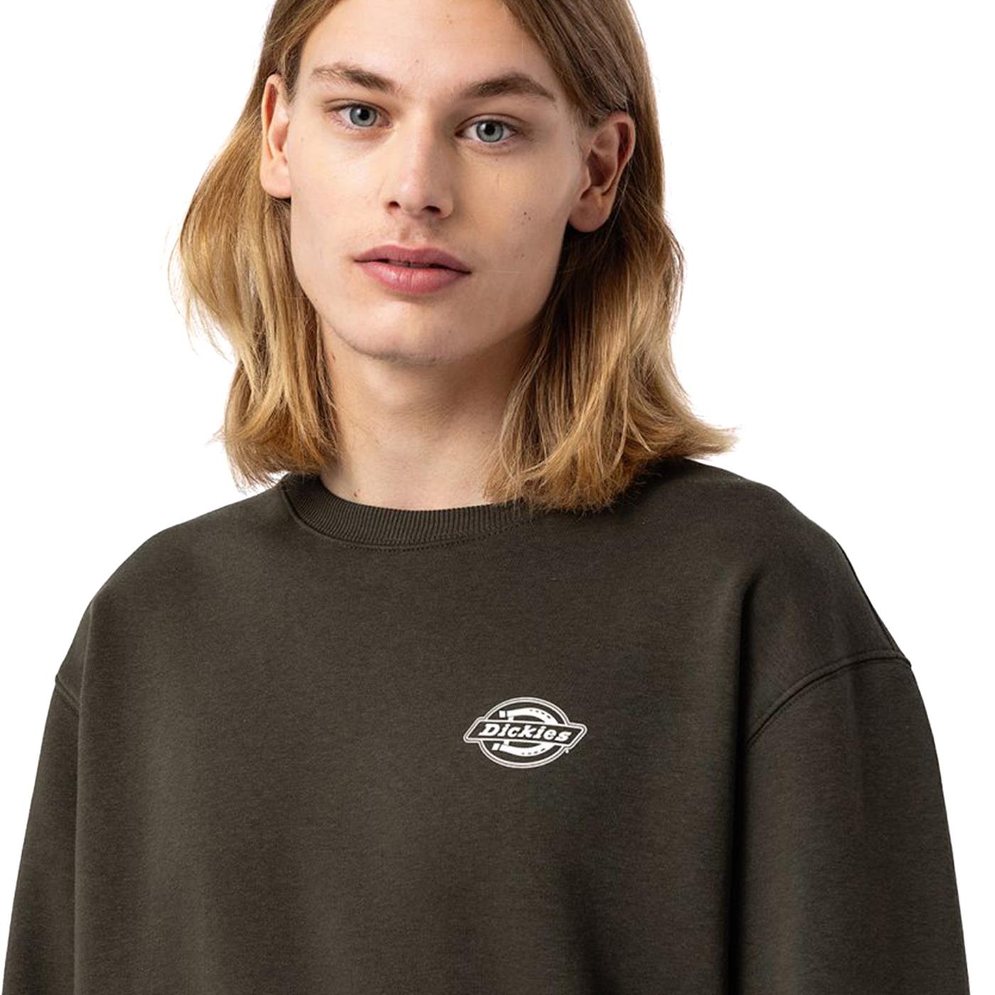 Dickies clearance briggsville sweatshirt