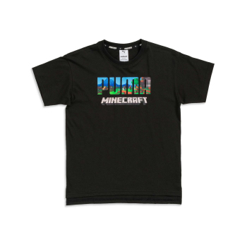 Minecraft Relaxed Tee